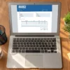 e-invoicing Malaysia